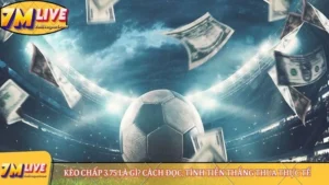 Kèo chấp 3.75 là gì? Cách đọc, tính tiền thắng thua thực tế 7 Kèo chấp 3.75 là gì