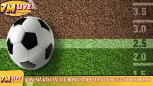 Giải mã kèo tài xỉu bóng đá dễ hiểu cùng người chơi mới 3 Kèo tài xỉu