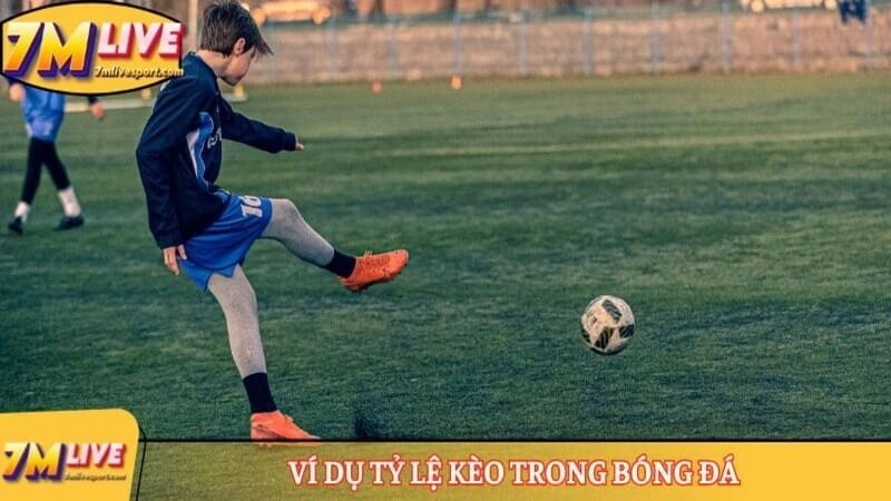 Kèo tài xỉu 0-0.5 là gì? Cách đọc tỷ lệ cược và tính tiền 8 Ví dụ tỷ lệ kèo trong bóng đá