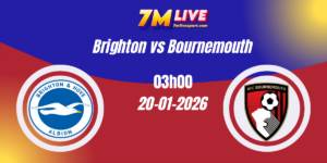 Nhận định Ngoại hạng Anh Brighton vs Bournemouth 20/01/2026 4 Nhận định Ngoại hạng Anh Brighton vs Bournemouth 20/01/2026