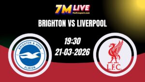 Nhận định Brighton vs Liverpool 19h30 Ngày 21/03/2026 1 Nhận định Brighton vs Liverpool 19h30 Ngày 21/03/2026